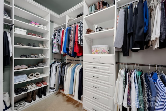 spacious closet featuring light carpet