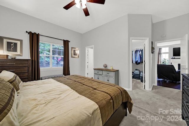 bedroom featuring ceiling fan, light carpet, a walk in closet, and a closet