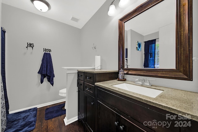 bathroom with lofted ceiling, wood-type flooring, toilet, and vanity