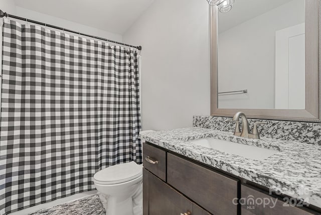 bathroom with toilet and vanity