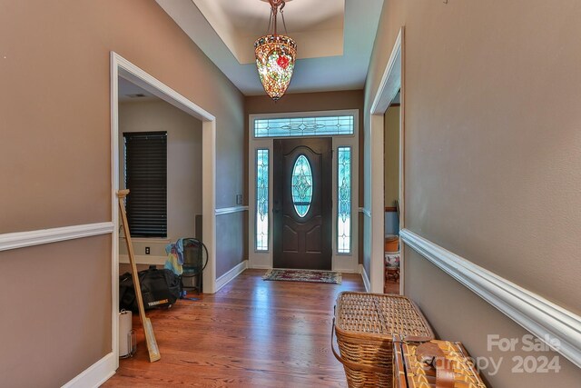 foyer entrance with a tray ceiling and hardwood / wood-style floors