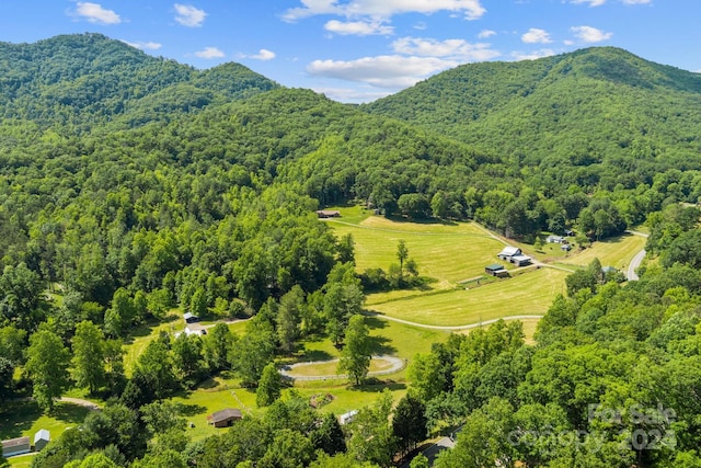 drone / aerial view featuring a mountain view