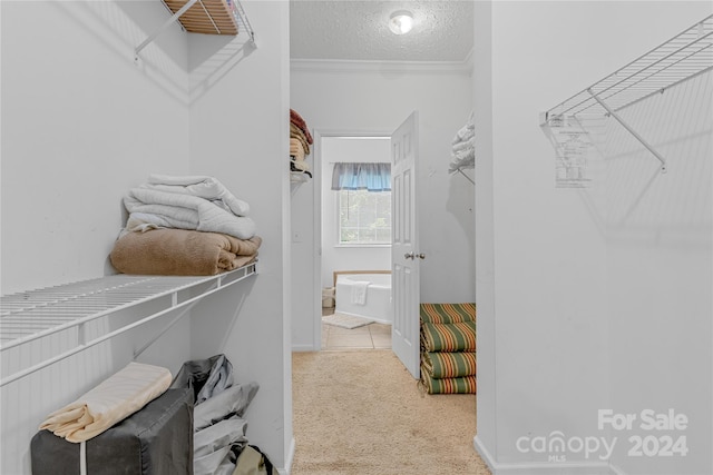 walk in closet with light carpet