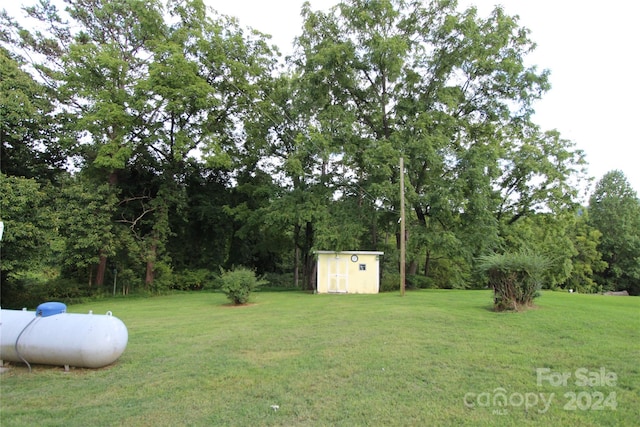 view of yard with a storage unit