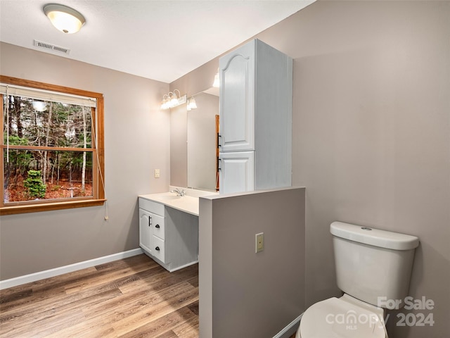 bathroom featuring vanity, wood-type flooring, and toilet