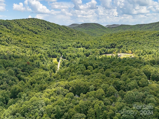 property view of mountains