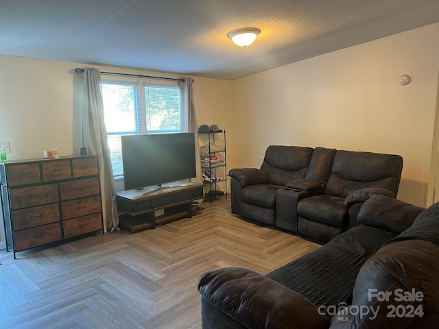 living room featuring light parquet flooring