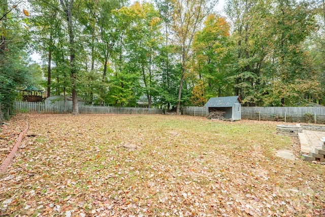 view of yard with a storage shed