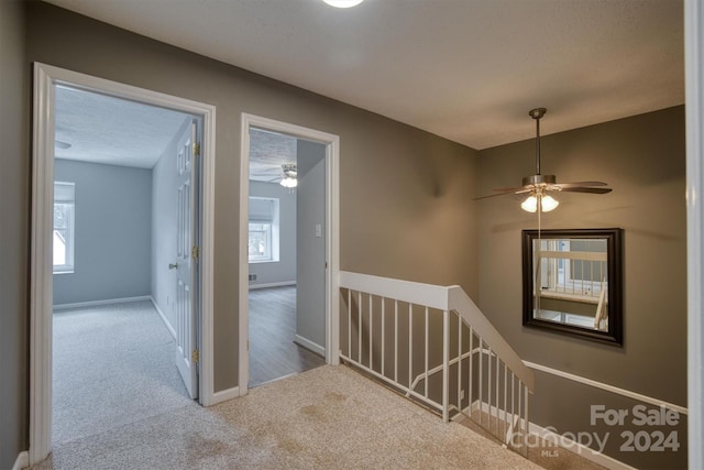 hallway with carpet flooring and a wealth of natural light