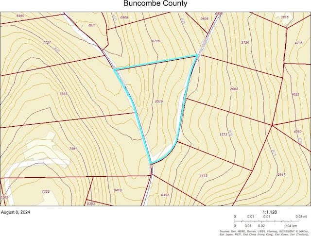 205 Settings Blvd Unit 245, Black Mountain NC, 28711 land for sale