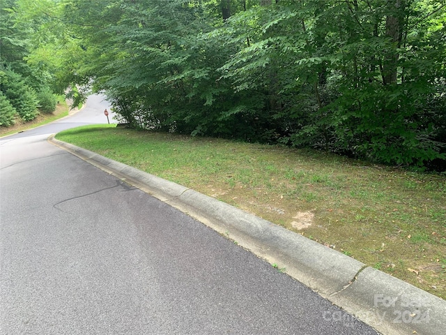 205 Settings Blvd Unit 245, Black Mountain, NC 28711 - photo 2
