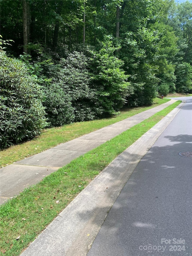 205 Settings Blvd Unit 245, Black Mountain, NC 28711 - photo 3