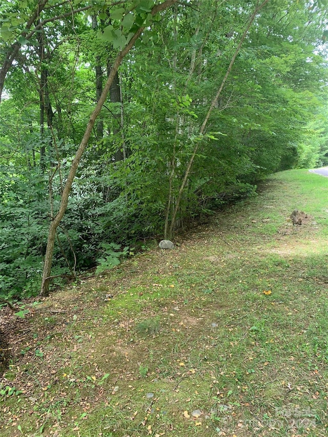 205 Settings Blvd Unit 245, Black Mountain, NC 28711 - photo 4