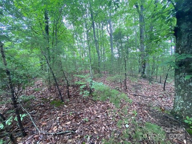 0 Kens Rock Rd Unit 20, Lake Lure, NC 28746