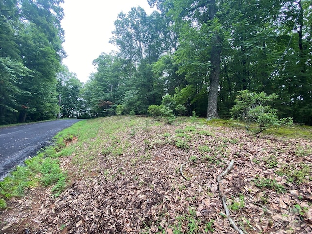 0 Kens Rock Rd Unit 20, Lake Lure, NC 28746