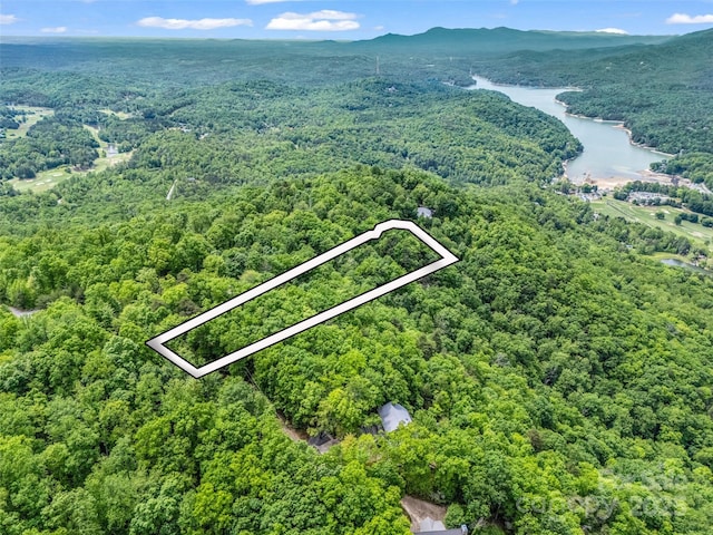 0 Kens Rock Rd Unit 20, Lake Lure, NC 28746