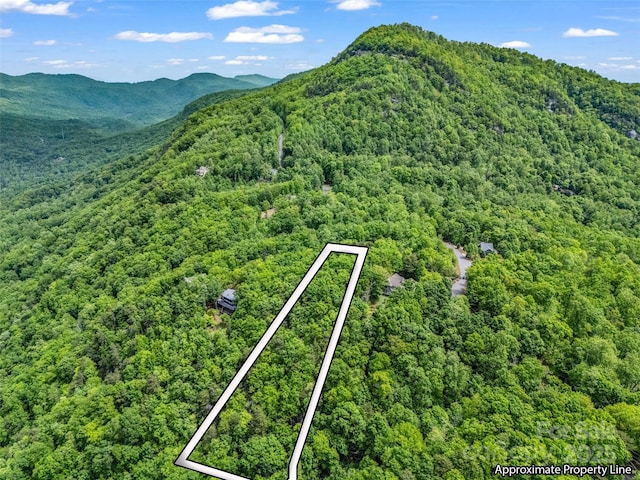 0 Kens Rock Rd Unit 20, Lake Lure, NC 28746