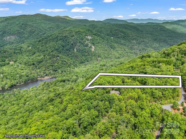 0 Kens Rock Rd Unit 20, Lake Lure, NC 28746