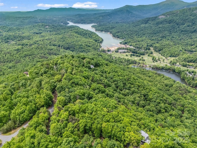 0 Kens Rock Rd Unit 20, Lake Lure, NC 28746