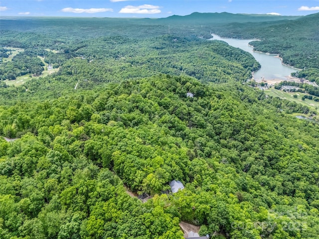 0 Kens Rock Rd Unit 20, Lake Lure, NC 28746