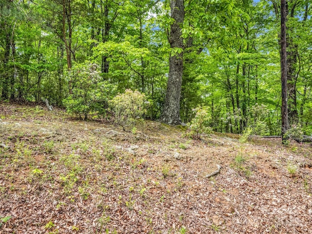 0 Kens Rock Rd Unit 20, Lake Lure, NC 28746