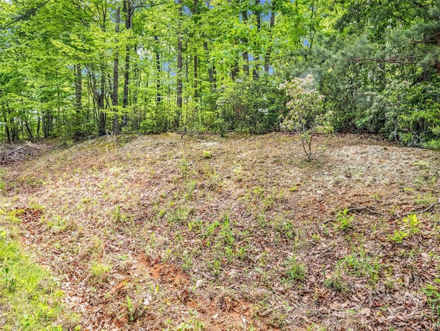 0 Kens Rock Rd Unit 20, Lake Lure, NC 28746
