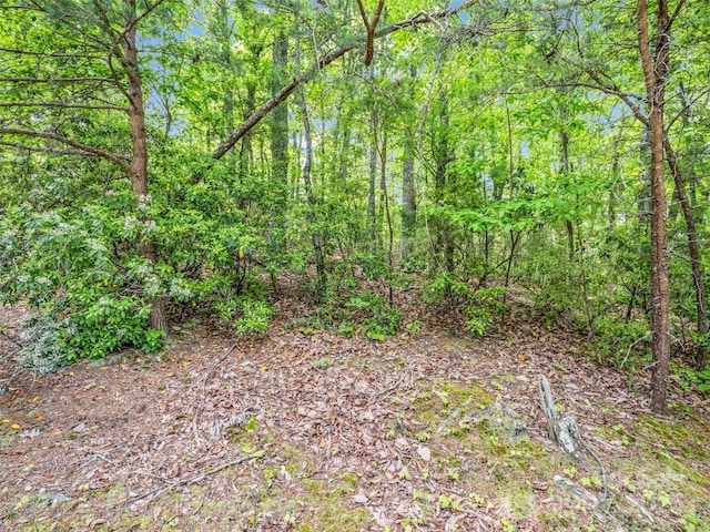 0 Kens Rock Rd Unit 20, Lake Lure, NC 28746