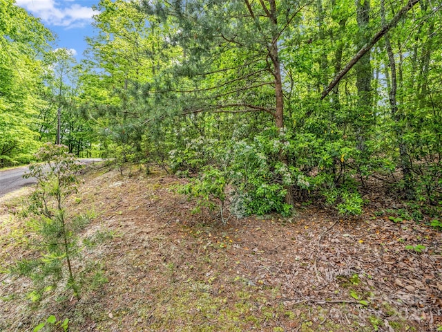 0 Kens Rock Rd Unit 20, Lake Lure, NC 28746