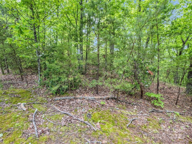 0 Kens Rock Rd Unit 20, Lake Lure, NC 28746
