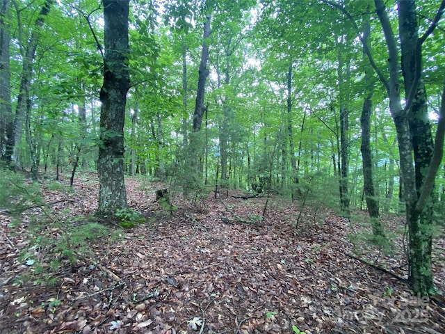 0 Kens Rock Rd Unit 20, Lake Lure, NC 28746