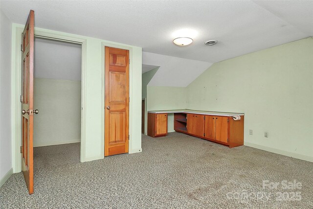 additional living space with a textured ceiling, light carpet, and vaulted ceiling