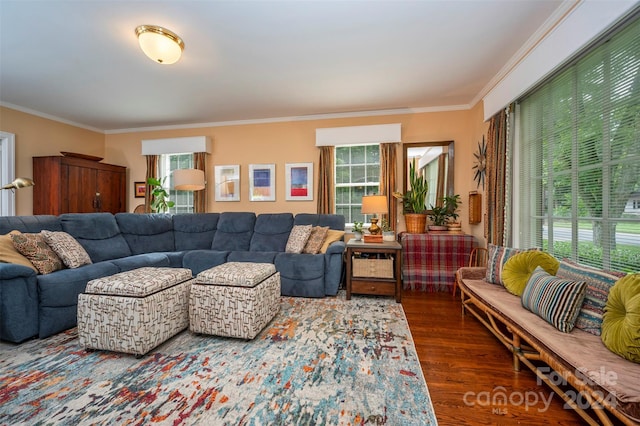 living room featuring crown molding and dark wood-type flooring