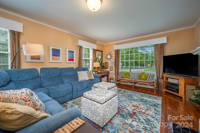 living room with ornamental molding and dark wood-type flooring