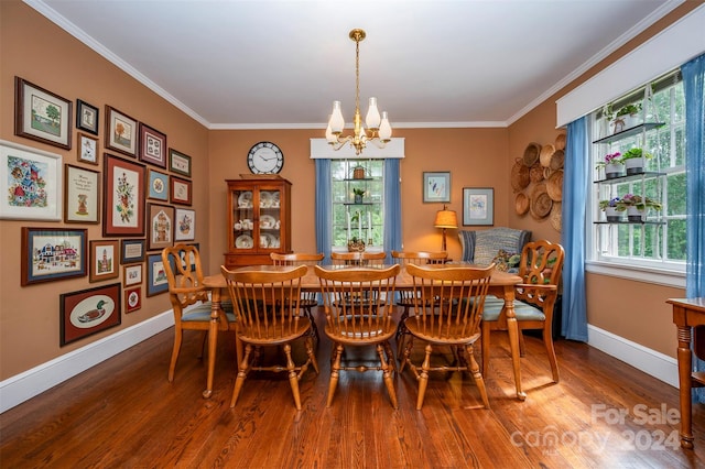 dining space with wood-type flooring, a healthy amount of sunlight, and crown molding