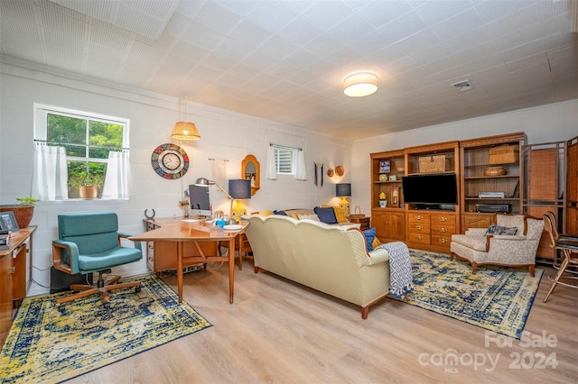 living room with light wood-type flooring