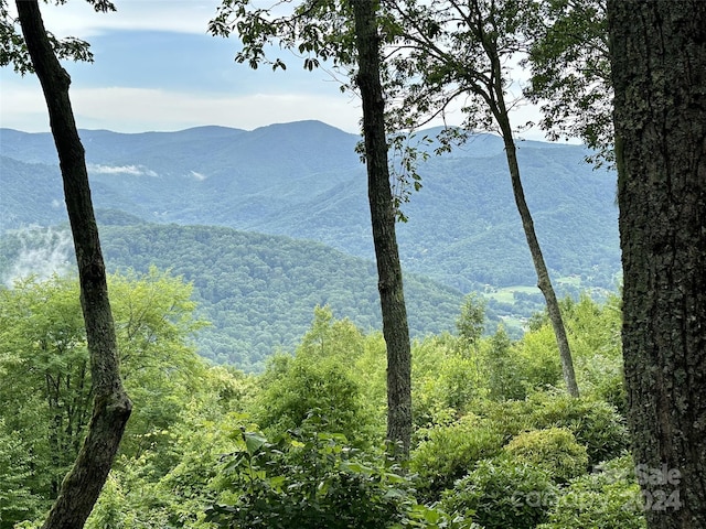 property view of mountains