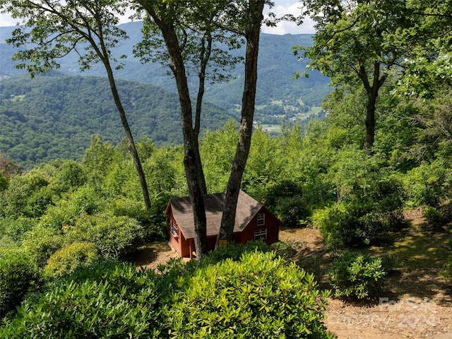 exterior space featuring a mountain view