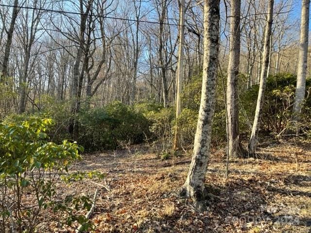 0 E Poplar Ln Unit 25, Hendersonville NC, 28792 land for sale