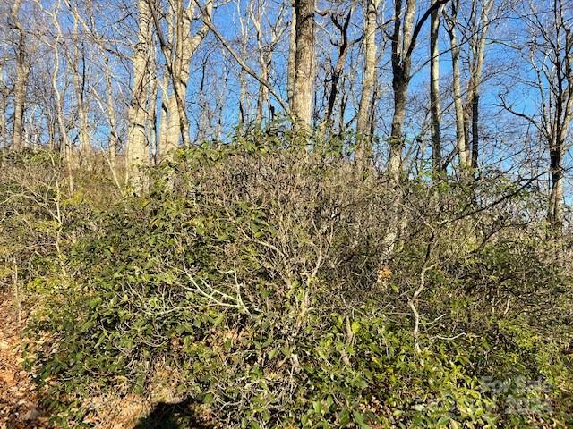 0 E Poplar Ln Unit 25, Hendersonville, NC 28792