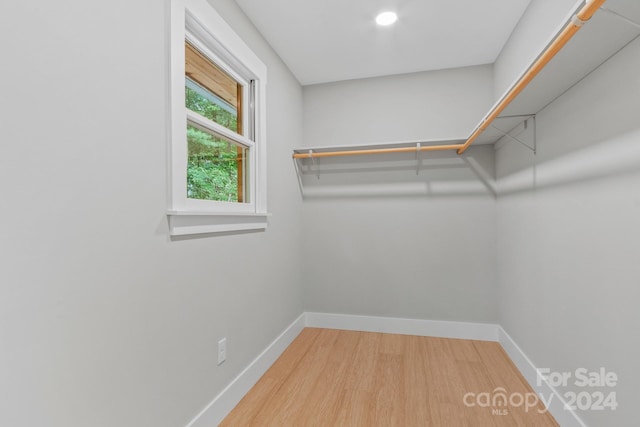 walk in closet featuring wood-type flooring