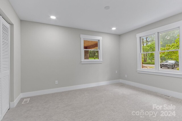 interior space with carpet, a closet, and multiple windows