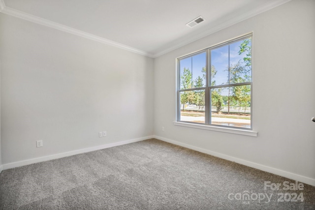 carpeted empty room featuring a healthy amount of sunlight and crown molding