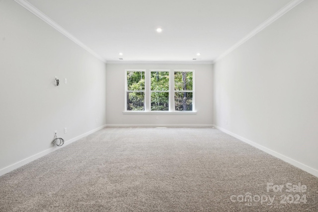 empty room with carpet flooring and ornamental molding