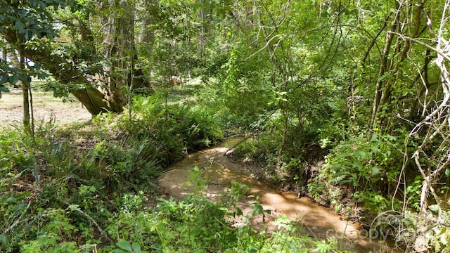 view of local wilderness featuring a water view