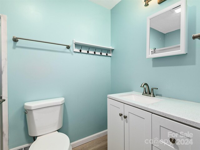 bathroom featuring toilet, vanity, and wood-type flooring