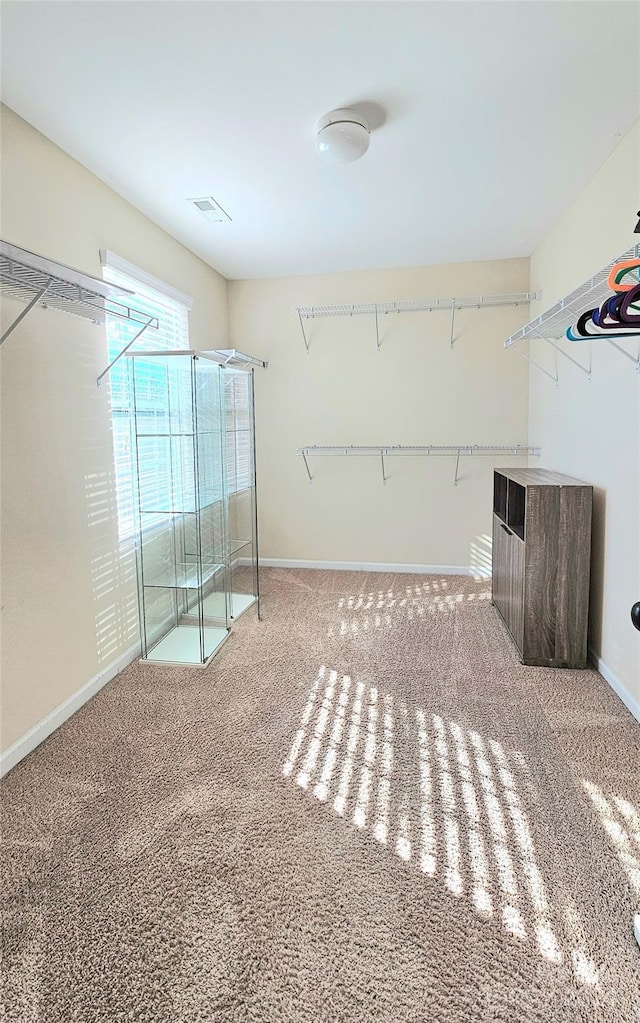 spacious closet with visible vents and carpet floors