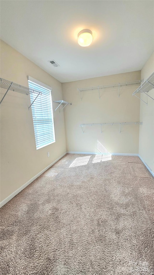 spacious closet featuring visible vents and carpet flooring