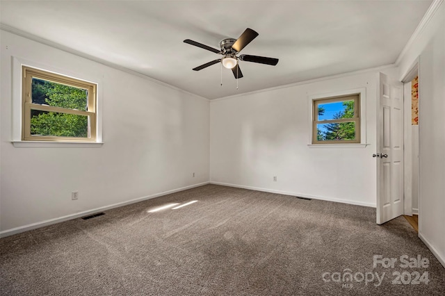 carpeted spare room with ceiling fan and ornamental molding