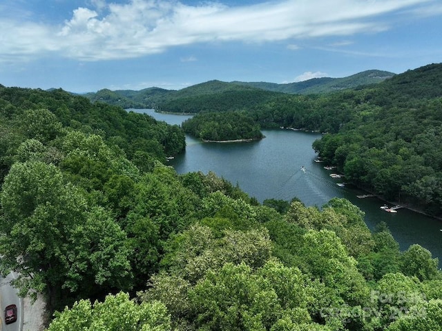 0 Norton Rd, Cashiers, NC 28717