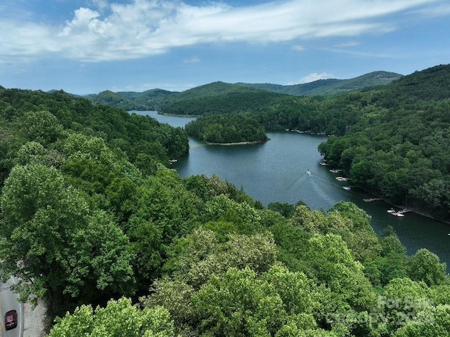 0 Norton Rd, Cashiers NC, 28717 land for sale